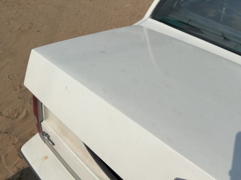 1986-1990 Oldsmobile Ninety-eight (80 & Up) Trunk/Decklid/Hatch/Tailgate