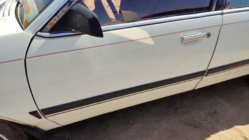 1982-1989 Buick Century Front Door LH