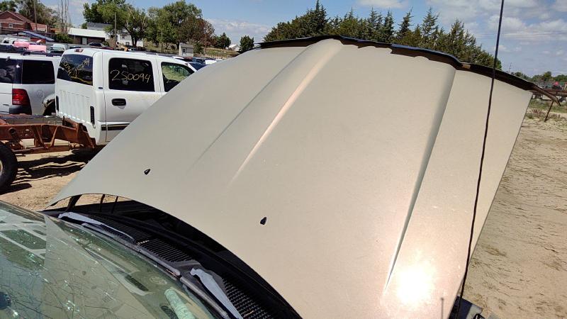 1998-2003 Lincoln Navigator Hood