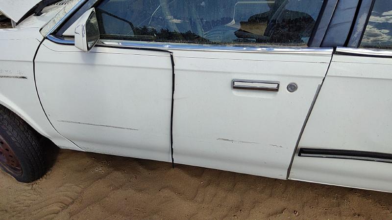 1982-1989 Olds Ciera Front Door LH