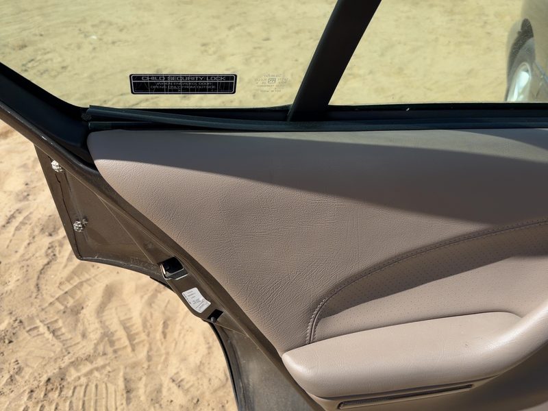 1999 Pontiac Bonneville (80 & Up) Rear Door Trim Panel LH