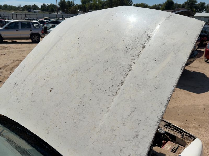 1991-1999 Oldsmobile Eighty-eight (80 & Up) Hood