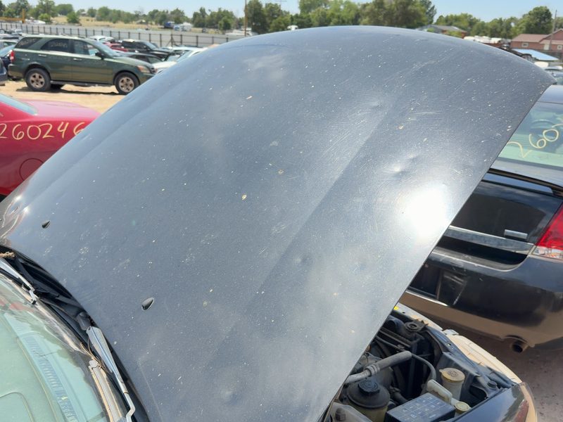 1995-1999 Nissan Maxima Hood