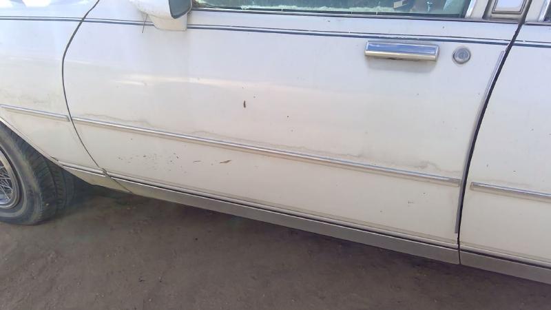 1980-1989 Chevrolet Caprice (80 & Up) Front Door LH