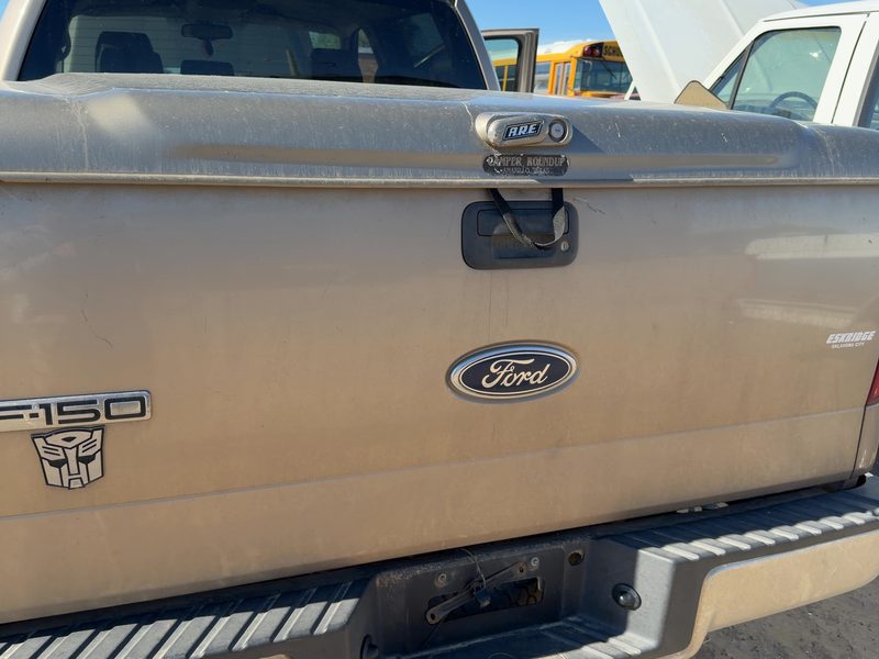 2004-2008 Ford Pickup F150 Series Trunk/Decklid/Hatch/Tailgate