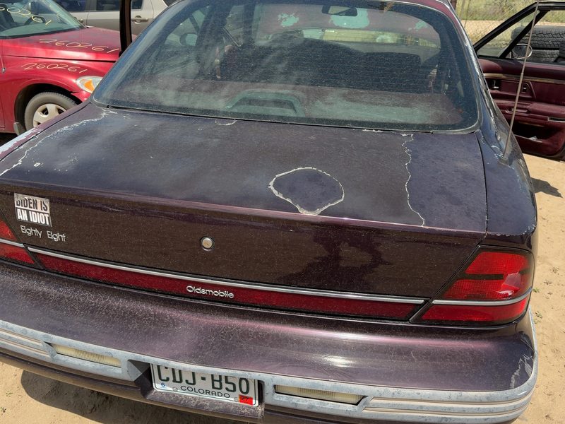 1992-1999 Oldsmobile Eighty-eight (80 & Up) Trunk/Decklid/Hatch/Tailgate