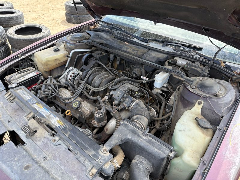 1993-1995 Oldsmobile Eighty-eight (80 & Up) Cylinder Head