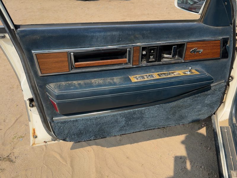 1986 Oldsmobile Ninety-eight (80 & Up) Front Door Trim Panel LH