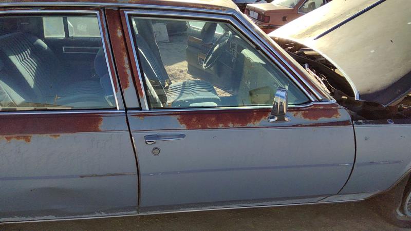 1980-1989 Cadillac Deville (80 & Up) Front Door RH