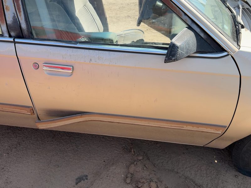 1990-1996 Buick Century Front Door RH