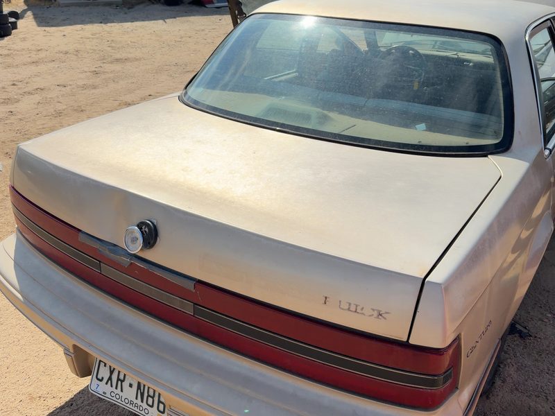 1989-1996 Buick Century Trunk/Decklid/Hatch/Tailgate