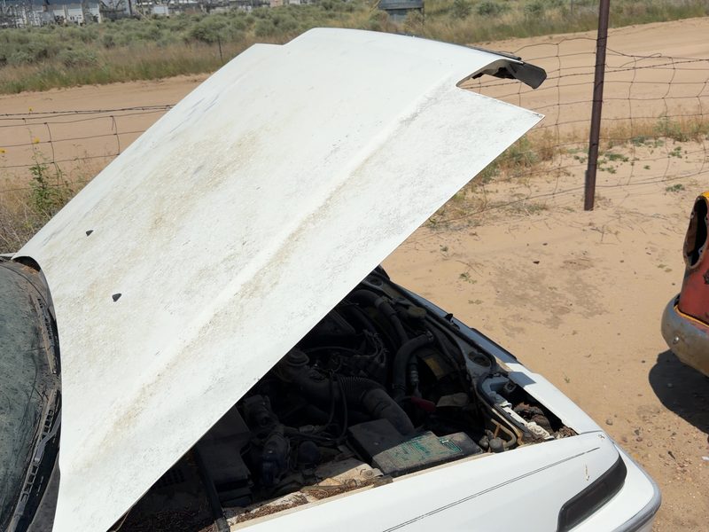 1986-1989 Honda Accord Hood