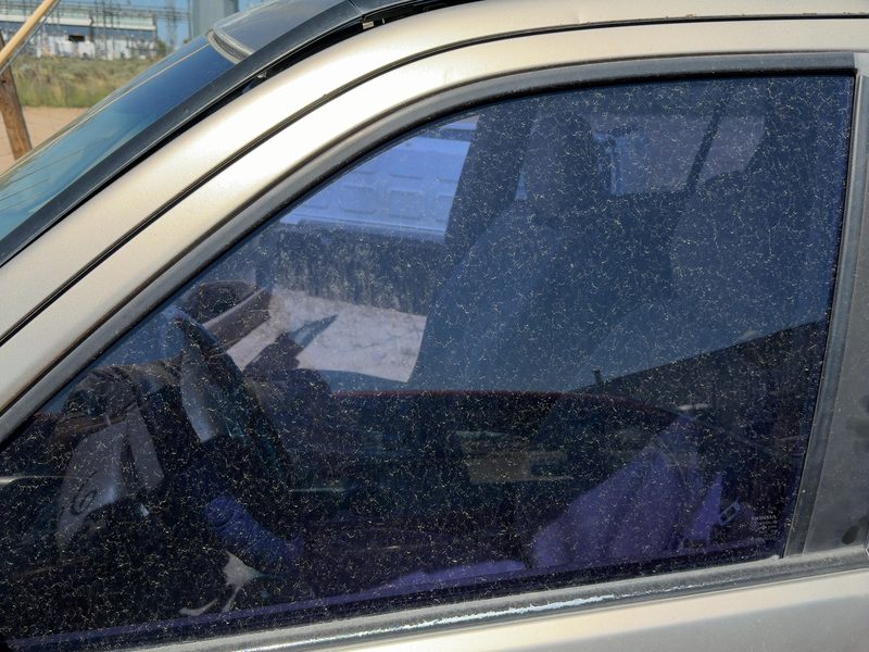 2002-2006 Honda Crv Front Door Glass/Window LH
