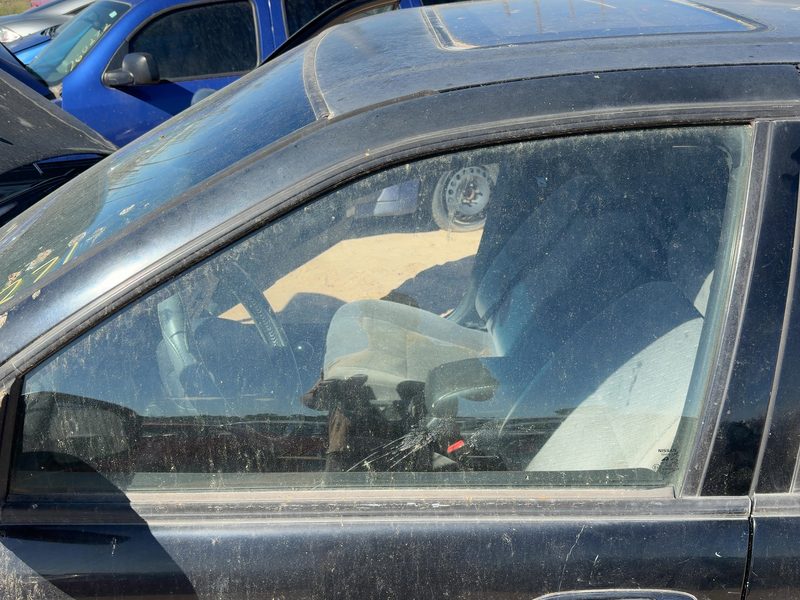 1995-1999 Nissan Maxima Front Door Glass/Window LH