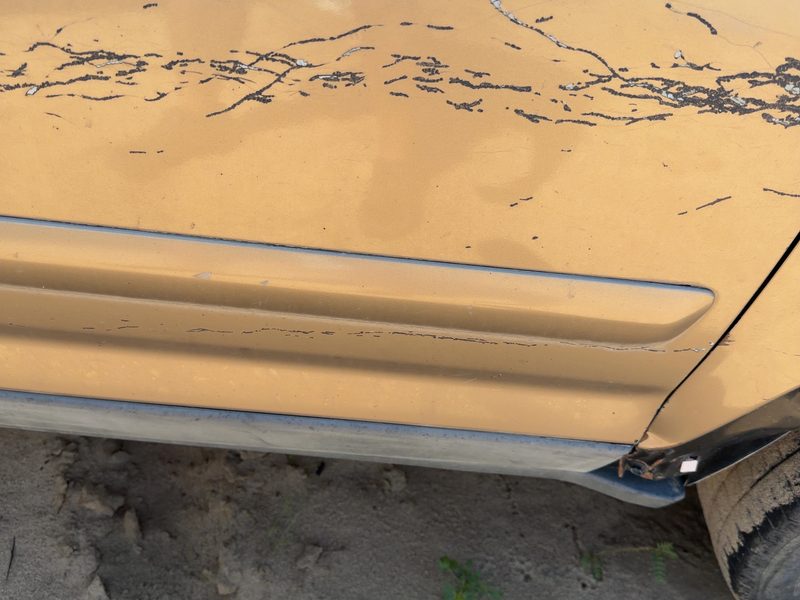 2002-2006 Honda Crv Front Door Moulding RH