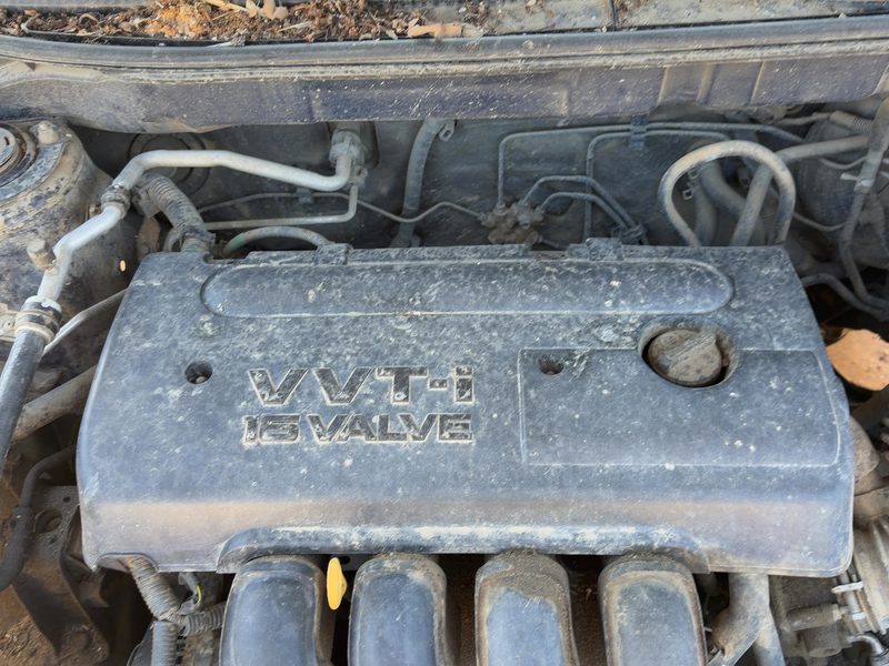 2003-2006 Toyota Matrix Engine Cover