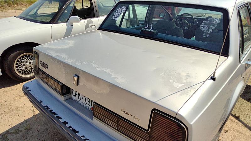1986-1991 Oldsmobile Eighty-eight (80 & Up) Trunk/Decklid/Hatch/Tailgate
