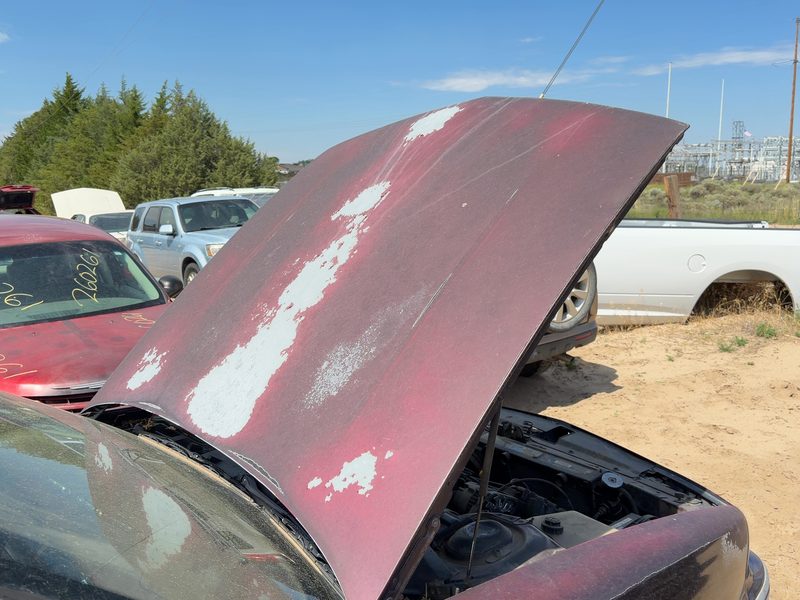 1991-1999 Oldsmobile Eighty-eight (80 & Up) Hood