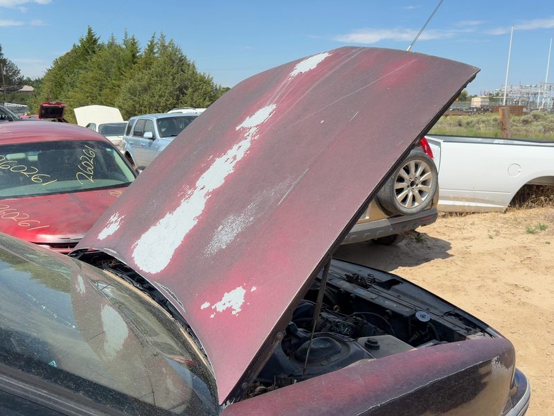 1991-1999 Oldsmobile Eighty-eight (80 & Up) Hood