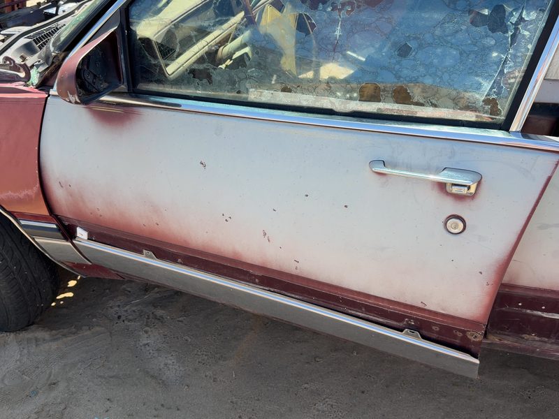 1985-1991 Buick Park Avenue (80&up) Front Door LH