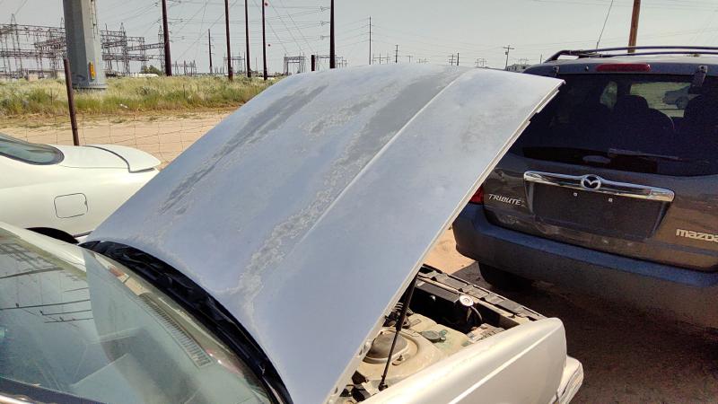 1985-1991 Oldsmobile Eighty-eight (80 & Up) Hood