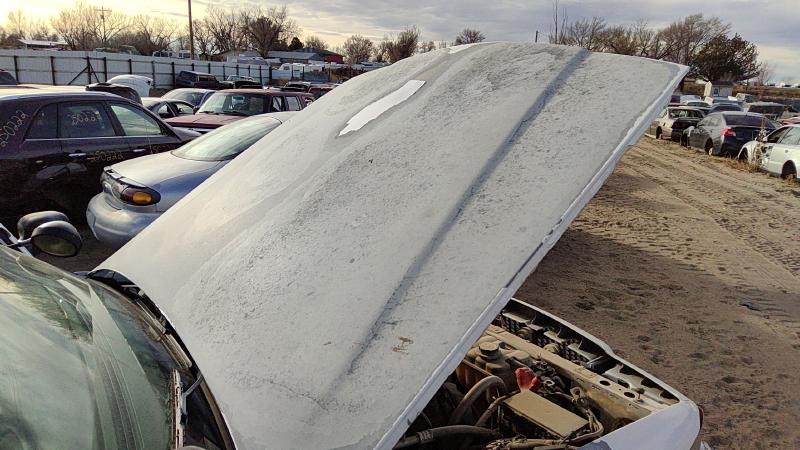 1998-2011 Ford Crown Victoria (83 & Up) Hood