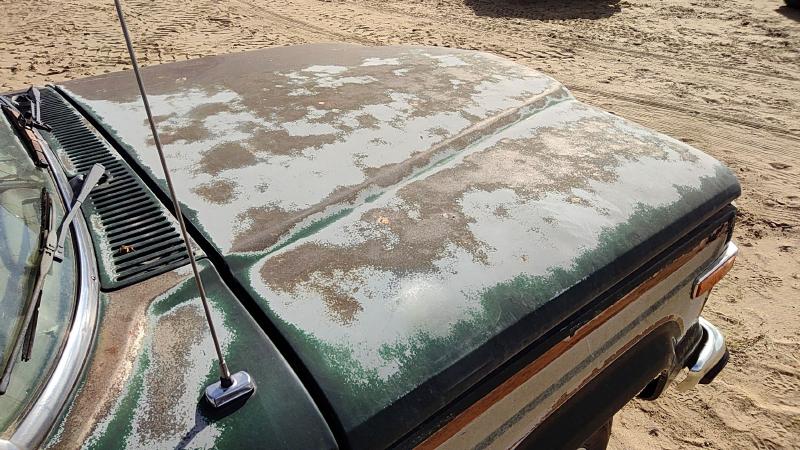 1971-2066 Jeep Grand Wagoneer Hood