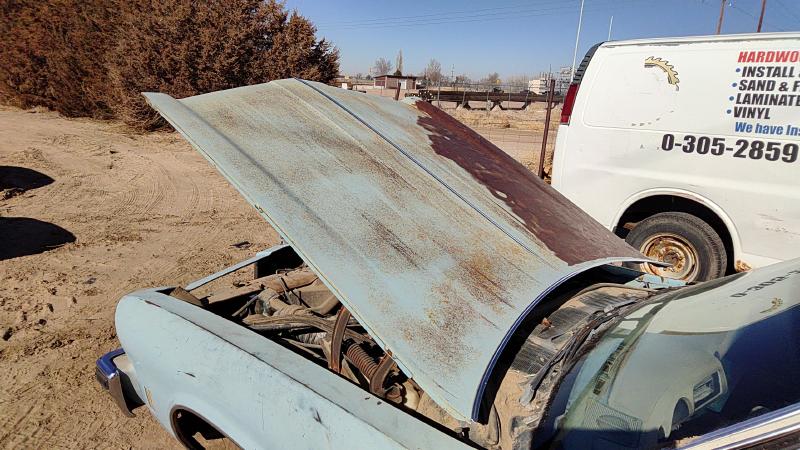 1973-1975 Cutlass (also See Calais 85-88) Hood