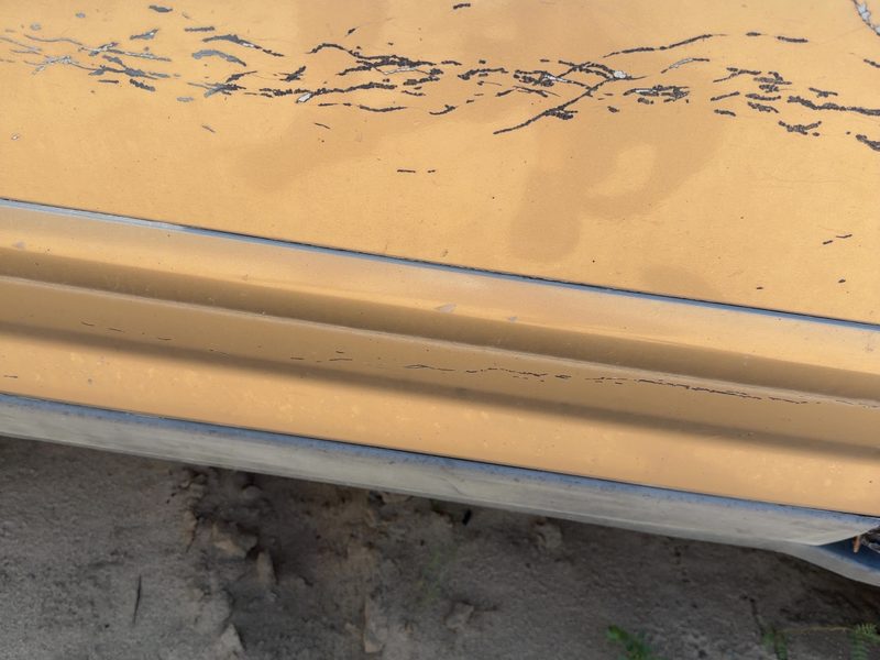 2002-2006 Honda Crv Front Door Moulding RH