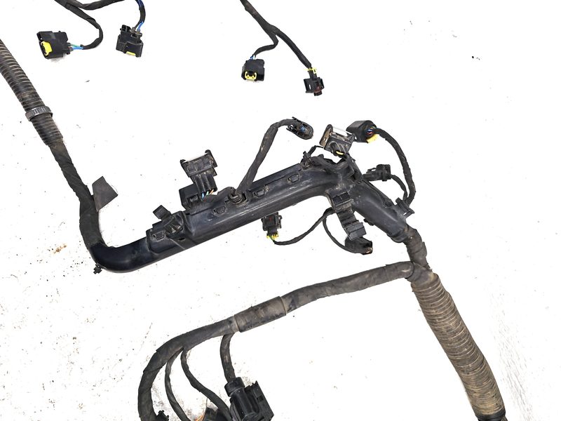 2014 Kia Forte Wire Harness (Engine)