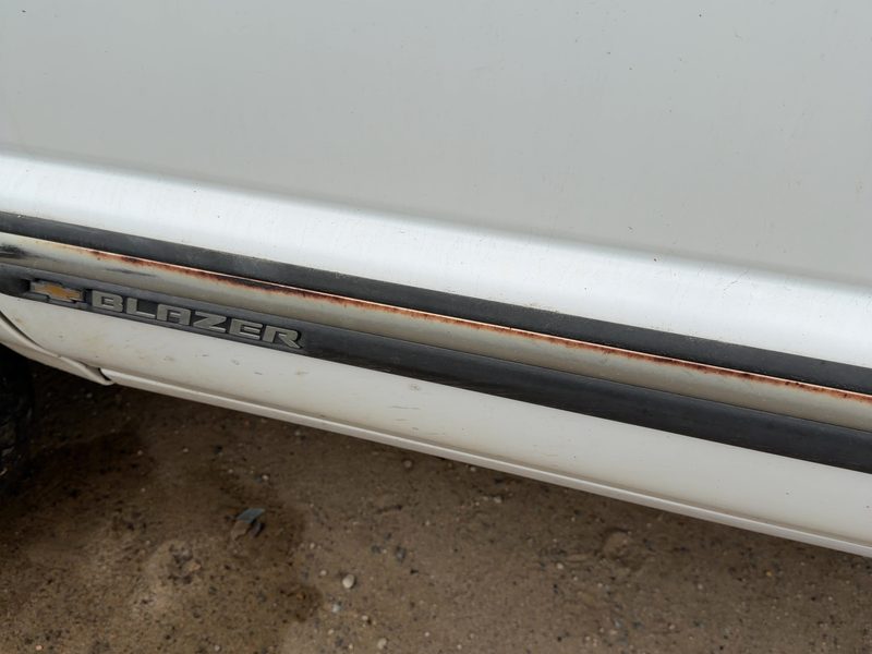 1998-2001 Blazer S10/jimmy S15 Front Door Moulding LH