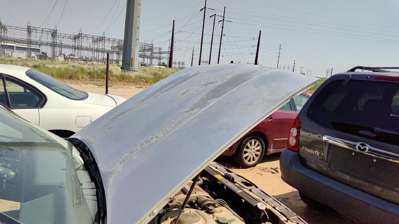 1985-1991 Oldsmobile Eighty-eight (80 & Up) Hood