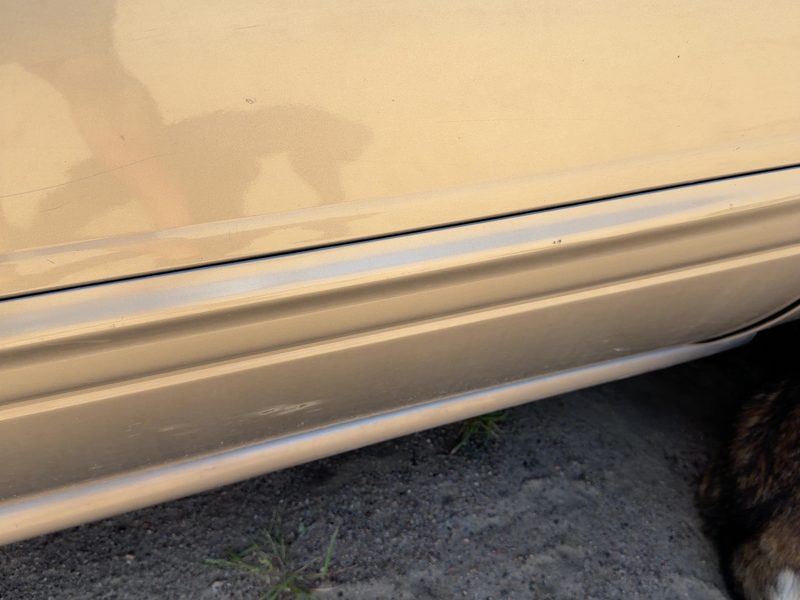 2000-2005 Buick Lesabre (80 & Up) Front Door Moulding RH