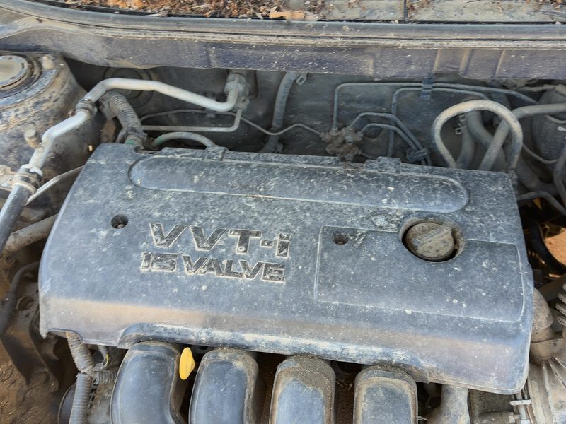 2003-2006 Toyota Matrix Engine Cover