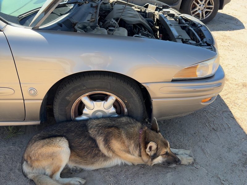2000-2005 Buick Lesabre (80 & Up) Fender RH
