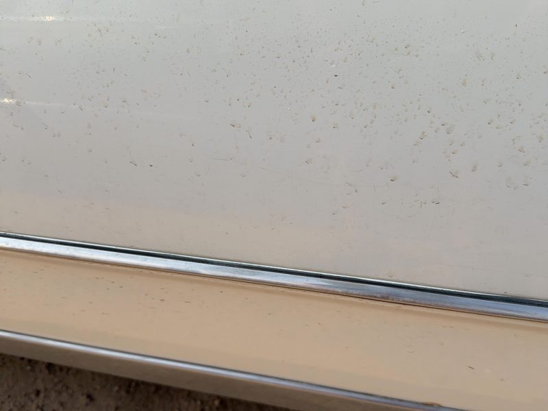 1986 Oldsmobile Ninety-eight (80 & Up) Front Door Moulding RH