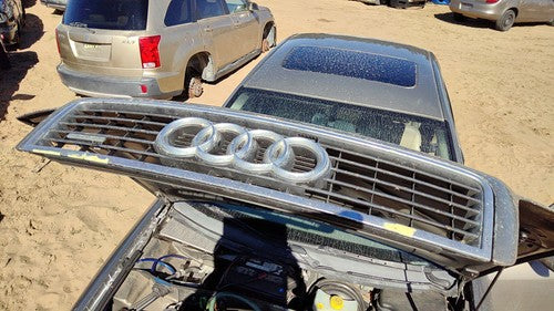 2002-2004 Audi A6 Front Grille Assembly Oem Gold 4B0853651F3Fz