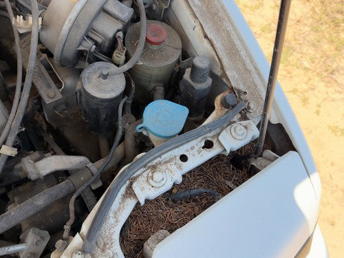 86-89 Honda Accord Lx Windshield Washer Fluid Reservoir With Pump Oem Wiper Tank