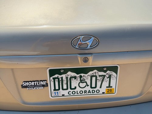 01-06 Elantra License Plate Trim Surround Panel Tail Trunk Finish Prime Beige Ko