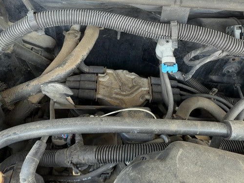 1996-2005 Chevy S10 Blazer Ignition Distributor Oem 4.3L 12598210