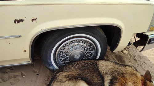 1980 Cadillac Deville Passenger Right Front Wheel Flare Moulding Oem Chrome Trim