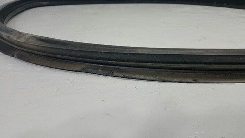 2006 Dodge Ram 2500 Passenger Right Window Track Seal Rubber Weatherstrip