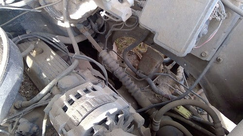 1995 Chevy Silverado 1500 Lower Intermediate Steering Shaft Oem
