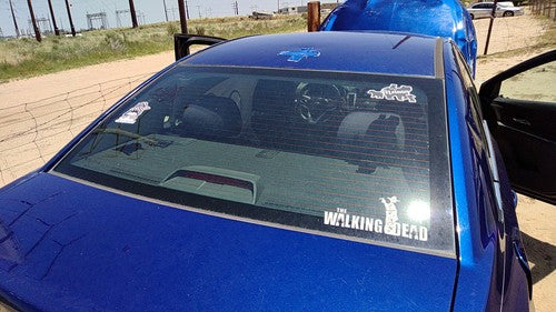 2011-2016 Chevy Cruze Back Glass Rear Window Only Oem 95094669