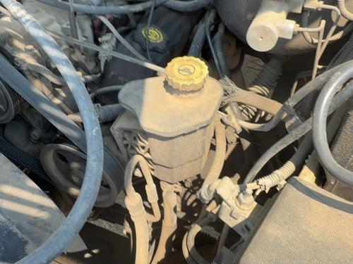 2002-2004 Dodge Ram 1500 Power Steering Pump With Pulley Oem 5.9L 52113454Ad