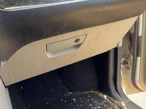 2011-2016 Chrysler Town & Country Glove Box Lower Complete Door With Latch Oem