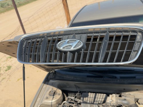2001-2003 Hyundai Elantra Front Grille Assembly Oem Sedan 863502D070