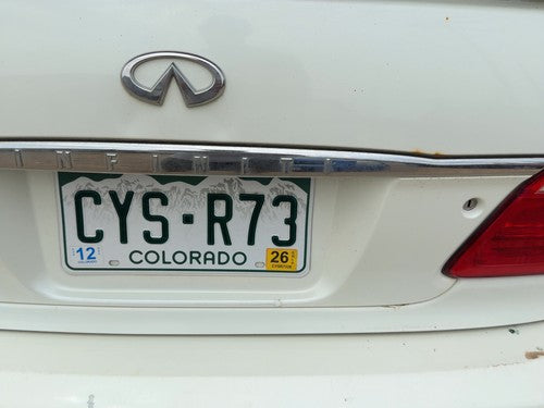 00-01 I30 License Plate Trim Surround Panel Tail Trunk Finish Lid Mounted White