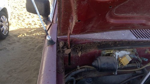 1981-1987 Isuzu Pup Pickup Passenger Right Hood Hinge Assembly Oem Red 94217433