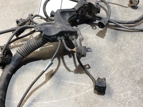 2002 Bmw 330I Wiring Harness For Engine Oem 3.0L 7513554 01